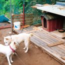 축령산농장 이미지