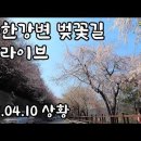 길 드라이브 , 양평 <b>내추럴</b><b>가든</b>529 카페 [종구튜브여행]