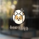 복이네 애견 미용 이미지