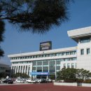 교동1통 Daum카페