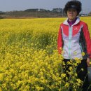 백사장해변 이미지