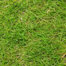 진해구 ⓐ-1 이미지