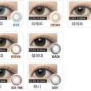 다비치안경원 이미지