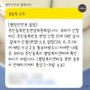 직장 내 괴롭힘 고소 후기 4 (내부 카르텔, 스토킹은 어떻게 지속될 수 있었을까)
