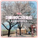 청주 아이와 가볼만한곳 더플레이그라운드 야외키즈카페 후기