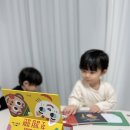 <블루래빗 다중지능발달 첫놀이감>-감정책·자석놀이 연계 후기