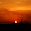 천태농장 이미지