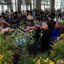 봄음악회 이미지