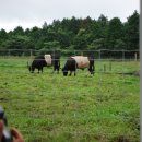 마더농장 이미지