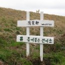 사포농장 이미지