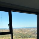 델피노 I 이미지