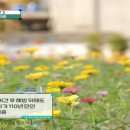 큰시장빈대떡 이미지