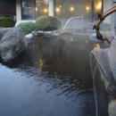 (주)오케이관광여행사 이미지