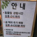 세종 아이랑 가볼만한 곳 베어트리파크 1월에 다녀온 후기ㅋㅋㅋ 3월 봄꽃축제 다녀오세요
