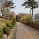 중앙공원 이미지