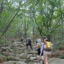 안양예술공원입구 이미지