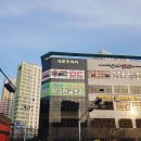 워라블린플라워 네이버블로그