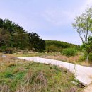 양덕2농장 이미지