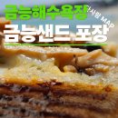수제샌드위치 | 제주 금능 맛집, 금능샌드에서 즐긴 수제 샌드위치 후기
