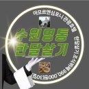 아모르 관광호텔 이미지