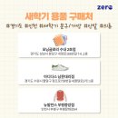 모닝글로리수내 이미지
