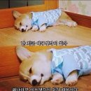 공감 이미지