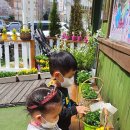 벚꽃분식 이미지