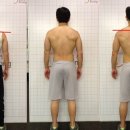 슬림 앤 벌크 이미지