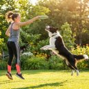 주부가요 | 경력단절 주부가 펫시터 자격증 따고 월 100만원 부수입 만든 방법