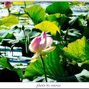 고구낚시터 이미지