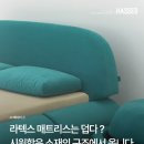 라텍스는 여름에 덥지 않나요? 이미지