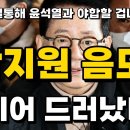 박지원 윤석열 내각제 영구 집권 이미지