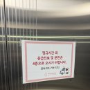 31140-9-39-5 | [공지] 하남 미사린산부인과 자연분만 후기｜39주 0일 출산부터 2박 3일 입원까지