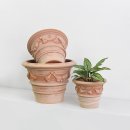 플랜트