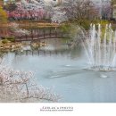 영산 연지못 이미지