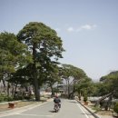 왕인박사마을 이미지