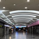 에비뉴헤어 | 야탑미용실 헤어에비뉴 솔직후기 극손상모 복구 클리닉 머릿결 여신된 후기