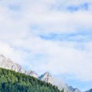 구성동물병원 이미지