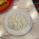 상꾸지놀이공원 | 도쿄 디즈니랜드 | 티켓 예약 | 놀이기구 추천 후기