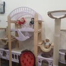 버만캣패밀리 이미지