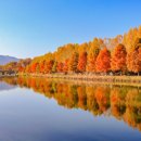 문광면 소금랜드 화장실 이미지