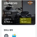 뉴천리향