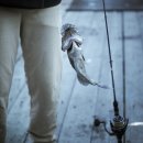 부흥호가두리낚시터 | 당진좌대낚시 추천 부흥호 좌대낚시터 우럭 손맛 최고!