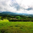 종은목장 이미지