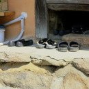 종일민박 이미지