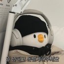 [공지] 너에게 선물하고픈 말 🐎 책 신간 소개 및 근황 업뎃(+ 공감짤 대방출)