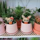 혜은농장 이미지