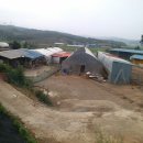 개량농장 이미지