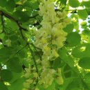 크린공인중개사사무소 이미지