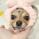 멍 부띠끄 이미지